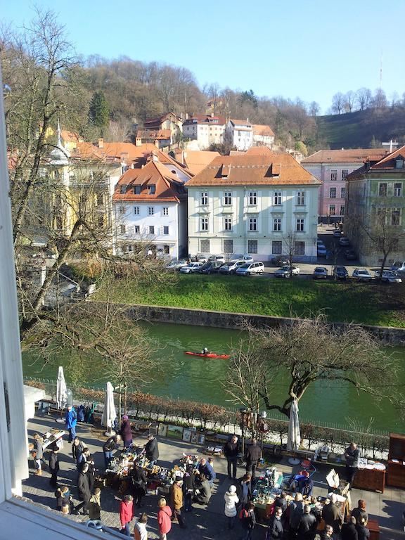 Studio Ian 1 Ljubljana Szoba fotó